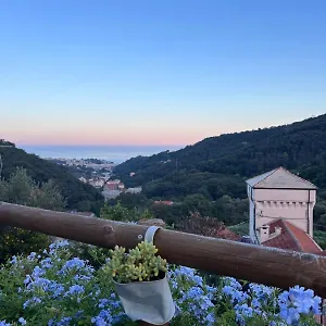 Il Rosale A Celle Ligure